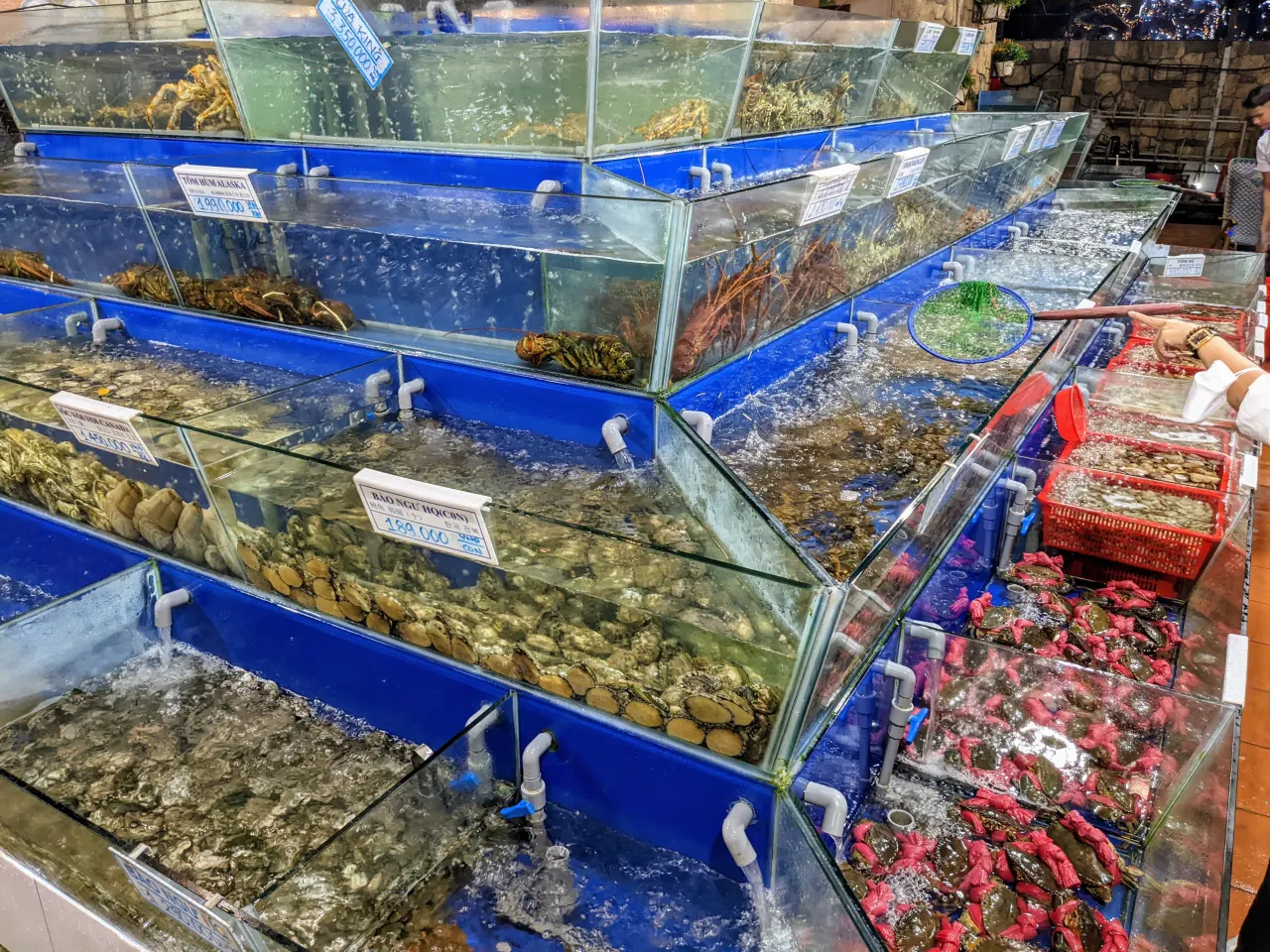 Bể hải sản tươi sống có niêm yết giá tại Đà Nẵng