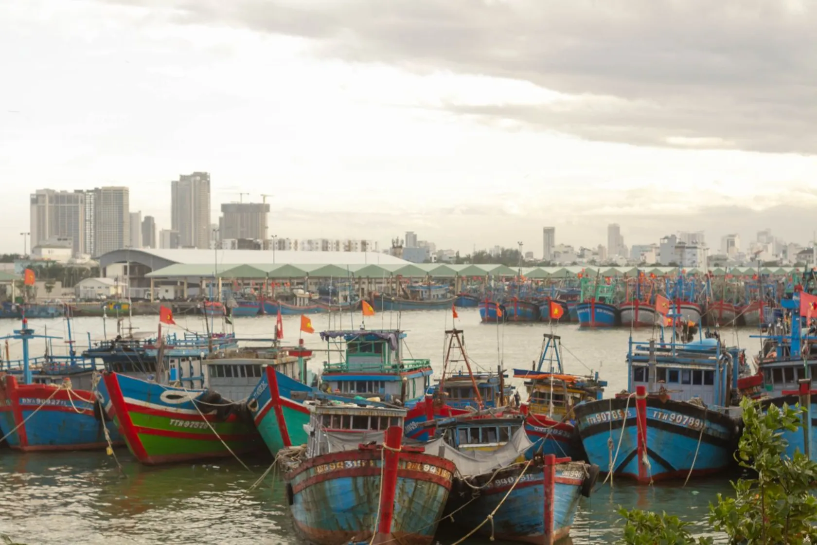 Nên Sống Ở Quận Nào Đà Nẵng