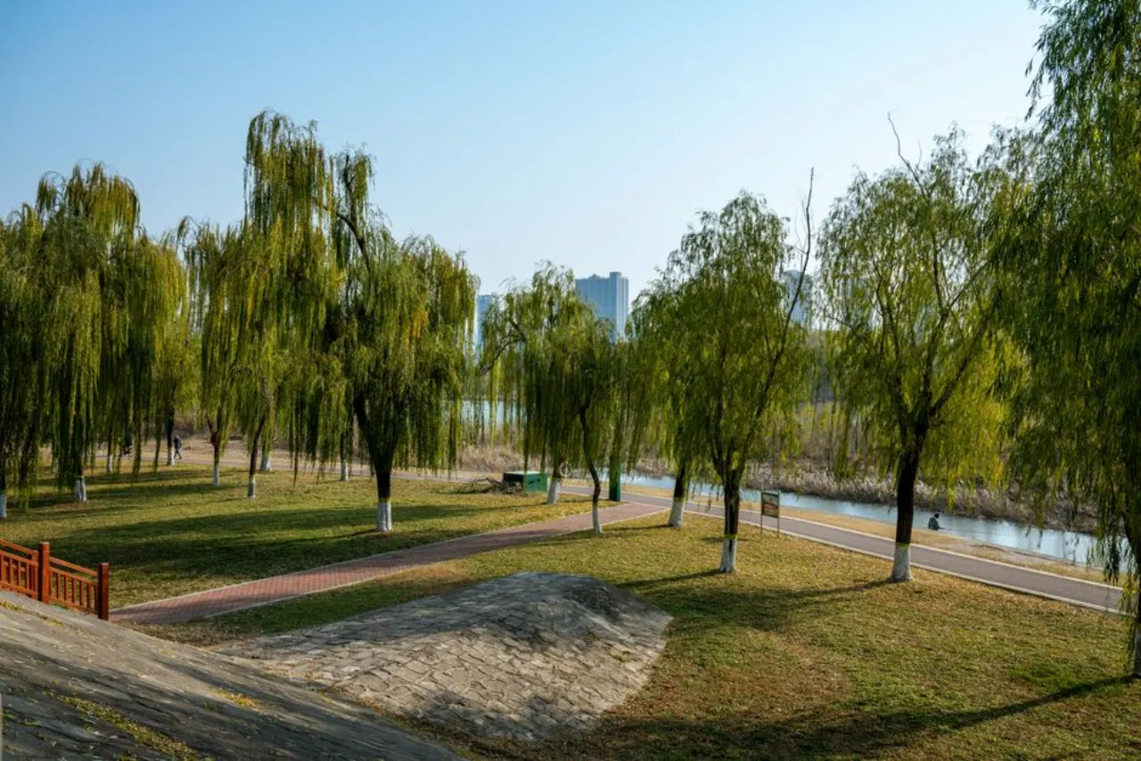 Hyde Park 50ha