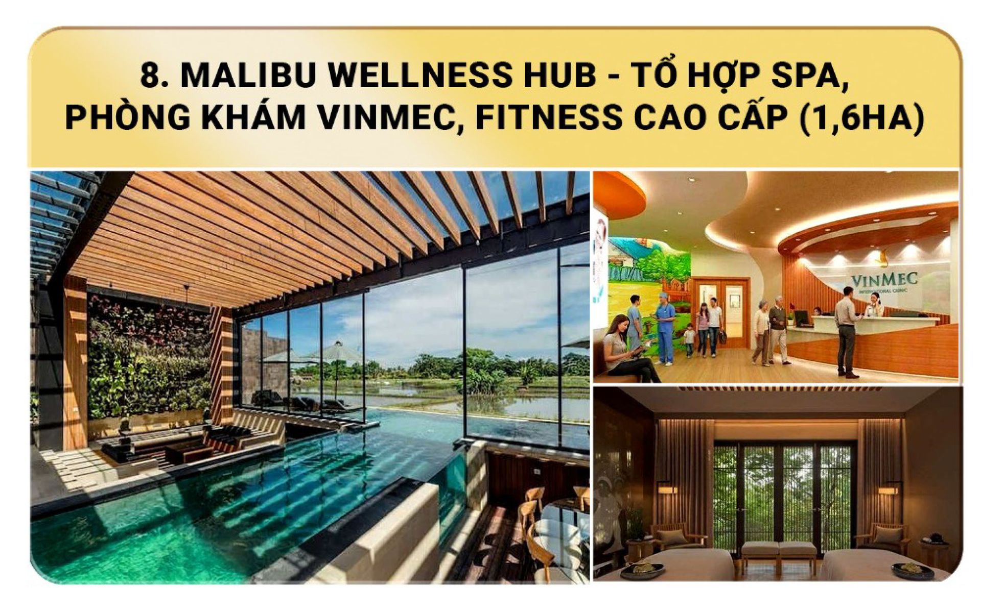 Malibu Wellness